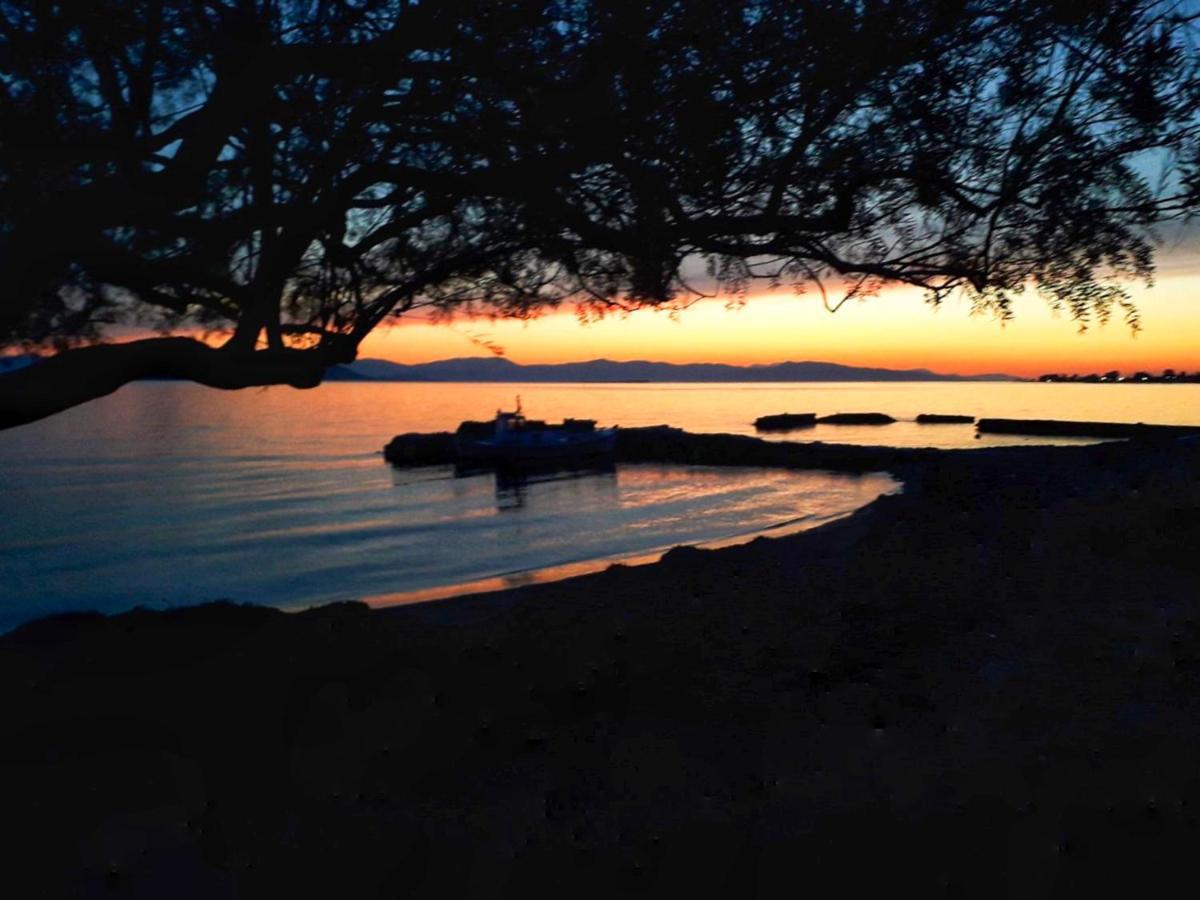 Elegant New Maisonette Near The Sea Aegina Bagian luar foto